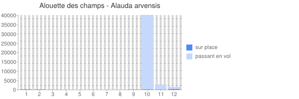 période d observation de Alauda arvensis