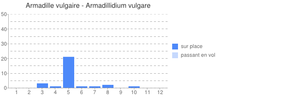 périodes d observation de Armadillidium vulgare