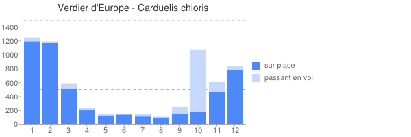 periode d observation de Chloris chloris