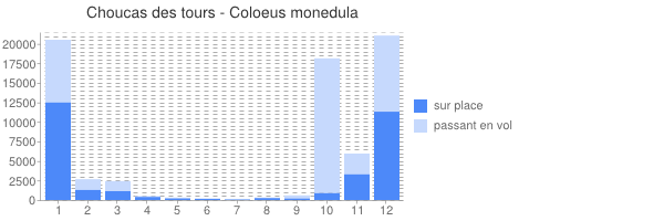 périodes d observation de Coloeus monedula
