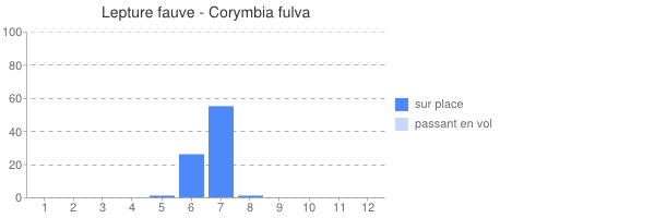 periode d observations de Corymbia fulva