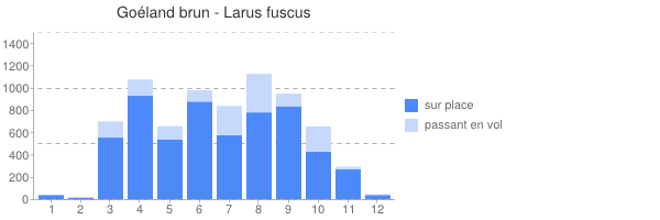 periodes d observation de Larus_fuscus