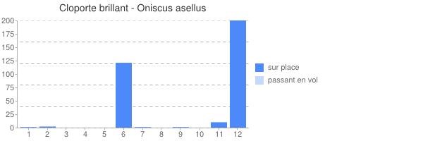 période d observation de Oniscus_asellus