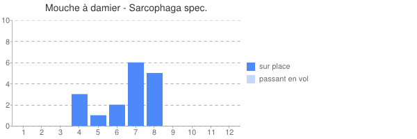 periodes d observation de Sarcophaga_carnaria