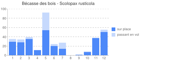 périodes d observation de Scolopax_rusticola