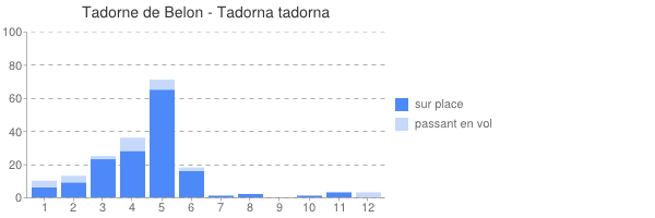 periode d observation de Tadorna_tadorna