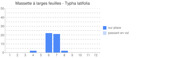 Typha_latifolia_périodes d observations