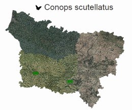 OBSERVATIONS EN PICARDIE de