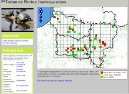 observations en Picardie de Trachemys scripta